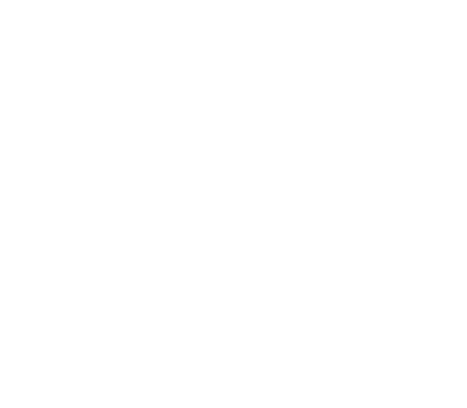 NY Productions logo
